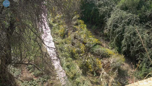 Rio Molinar a su paso por Alcoy