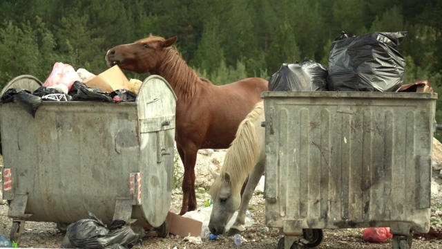 Gestión de residuos en Albania.