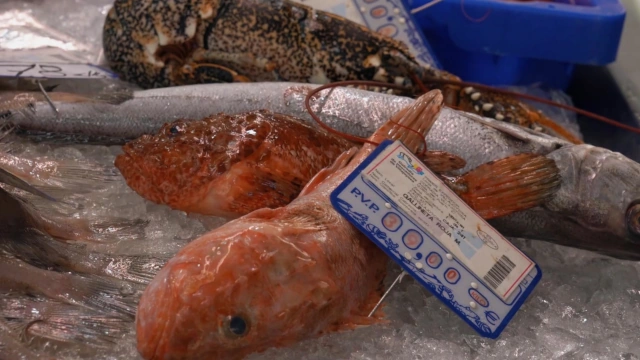 Mercado Central de Villajoyosa: productos del mar.