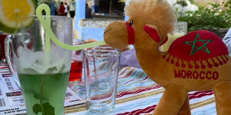 Sobre una mesa, un peluche con forma de pequeño dromedario marrón que lleva escrito Morocco bebe de una pajita un refresco de te con hierbabuena.