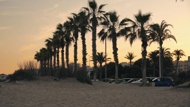 Paisaje al atardecer junto a la desembocadura del rio Amorio