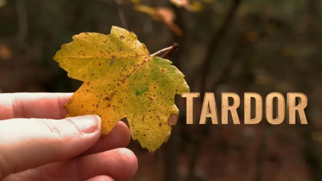 Una hoja amarilla sostenida por una mano de mujer, en un texto a la derecha de puede leer "Tardor" que significa otoño en valenciano