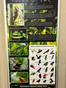 Paneles informativos con las especies de animales de la reserva Semenggoh-Borneo-Malasia