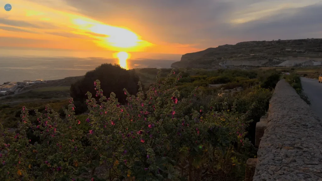 Puesta de sol desde los acantilados de Dingli, el punto más alto de Malta, con flores silvestres en primer plano y el Mediterráneo al fondo