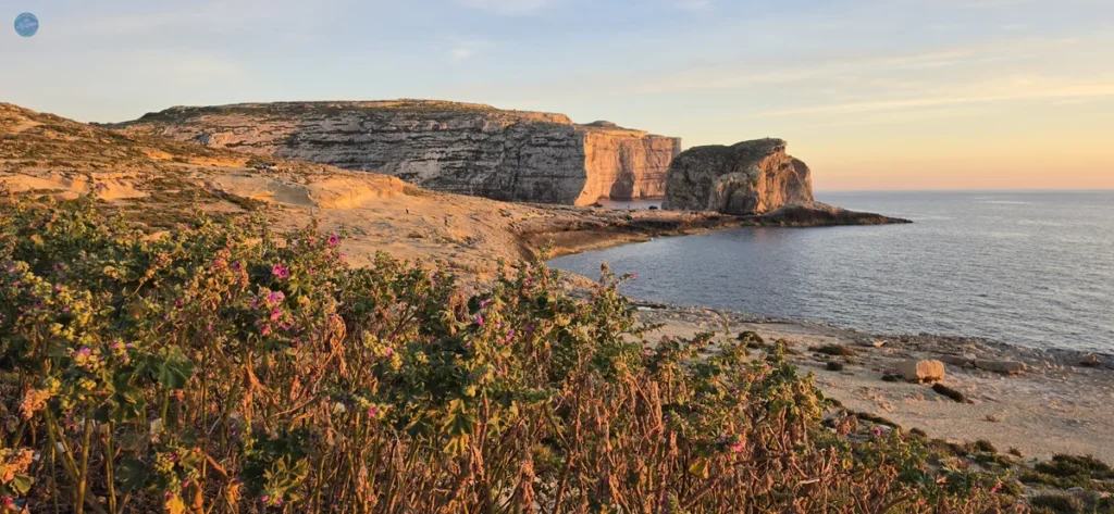 Atardecer sobre la Roca Fungus y los acantilados de Dwejra en Gozo, Malta, con la vegetación silvestre en primer plano